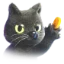Cute Cat
